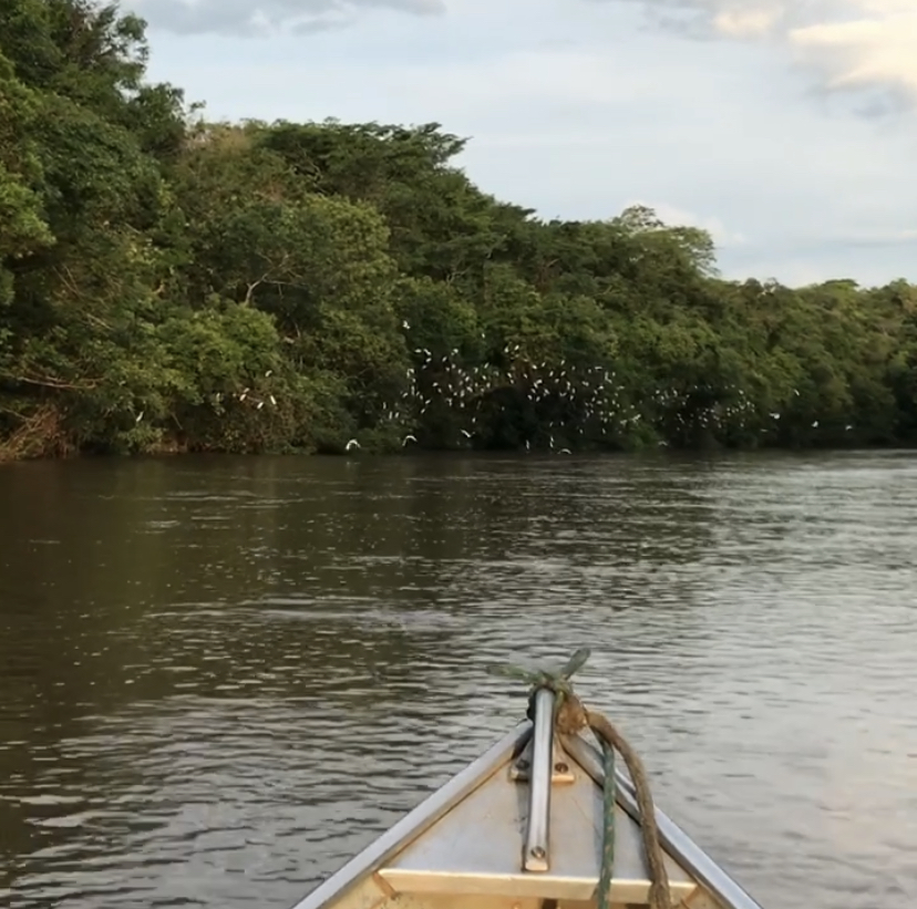 Em Novo Decreto Rios Que Circundam O Parque Do Rio Negro Só Poderão Ter ...